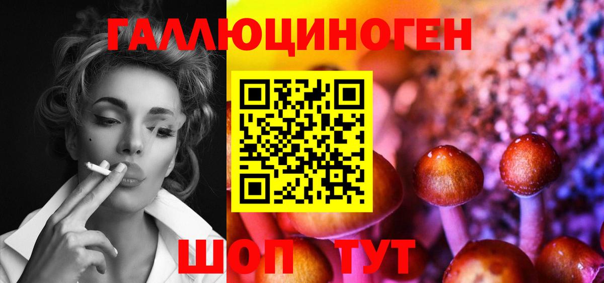 Миасс  Псилоцибиновые грибы Psilocybine cubensis  Вход с VPN 